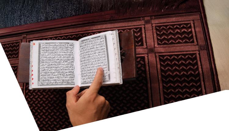 لسانٌ عربي.. الفهم اللغوي في تفسير القرآن