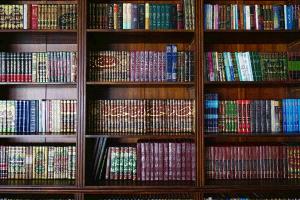 السلفيون في اليمن.. رحلة التحولات